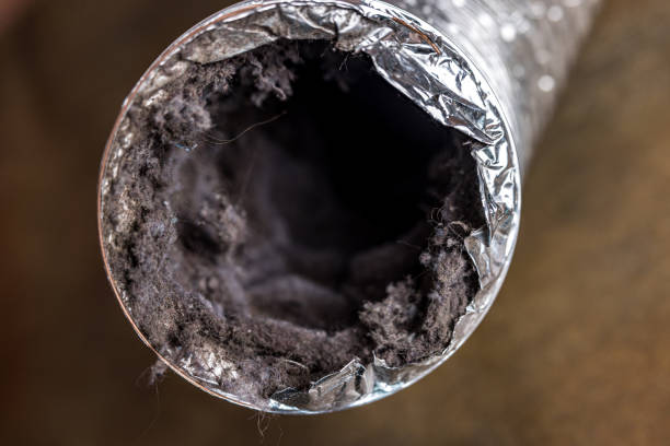 Best Affordable HVAC Duct Cleaning  in Rushford, MN