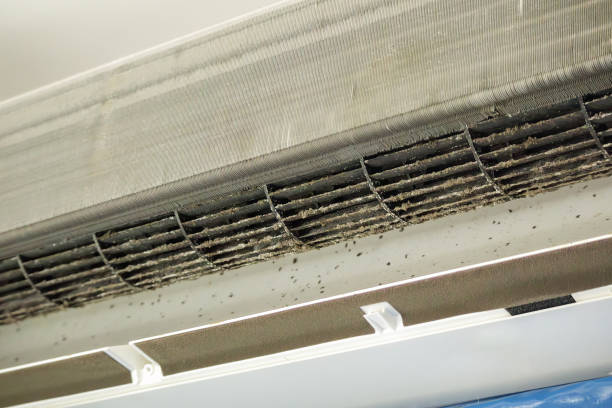 Best Affordable Duct Cleaning Services  in Rushford, MN